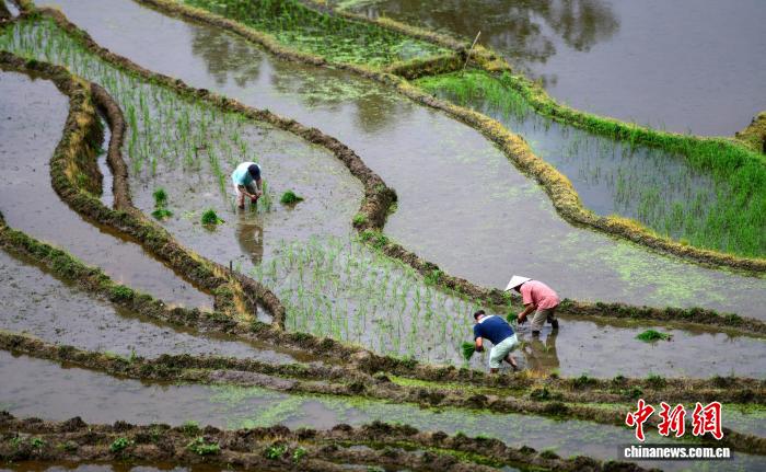 广西龙胜：芒种将至耕种忙