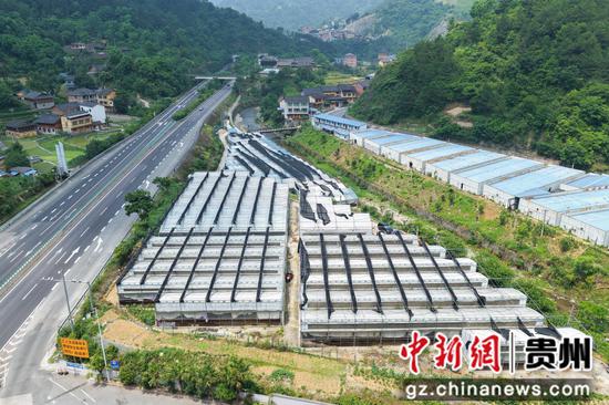 剑河县南高村鸭养殖基地。彭开燚 摄