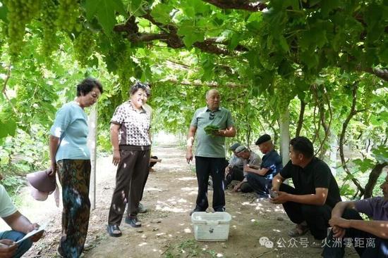 6月1日，高昌区林草局在红星片区加依村举办葡萄叶销售培训。许艳宏 摄