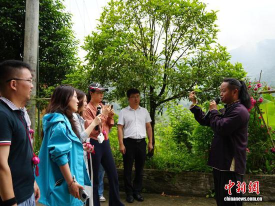 6月2日，贵州省雷山县脚尧村，苗族青年杨胜明向游客介绍路边生长的苗药。中新社记者 周燕玲 摄