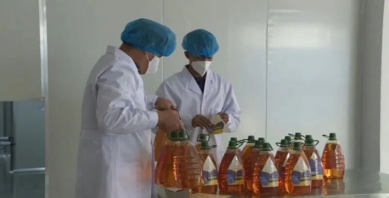 “万企兴万村”激活察布查尔县乡村振兴新动能