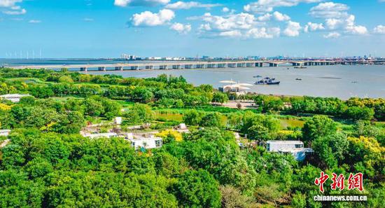 图为中新天津生态城永定洲公园,成片滨水密林造就城市“天然氧吧”。(中新天津生态城供图) 图为中新天津生态城永定洲公园,成片滨水密林造就城市“天然氧吧”。(中新天津生态城供图)