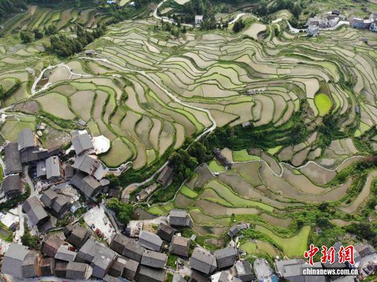 图为6月5日，航拍贵州省黎平县堂安侗寨与堂安梯田美如画卷。