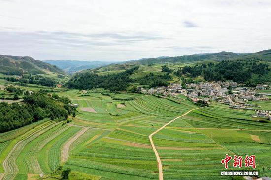 贵州威宁2026年马铃薯综合产值预计达40亿元
