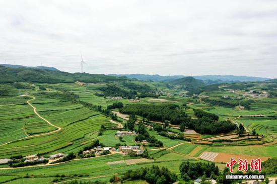 图为6月10日,航拍威宁自治县么站镇平原社区马铃薯种植基地。陈逍 摄 图为6月10日,航拍威宁自治县么站镇平原社区马铃薯种植基地。陈逍 摄