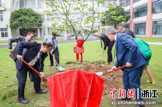 6月9日,两校代表共同栽下一株紫荆树。徐凯阳 摄 6月9日,两校代表共同栽下一株紫荆树。徐凯阳 摄