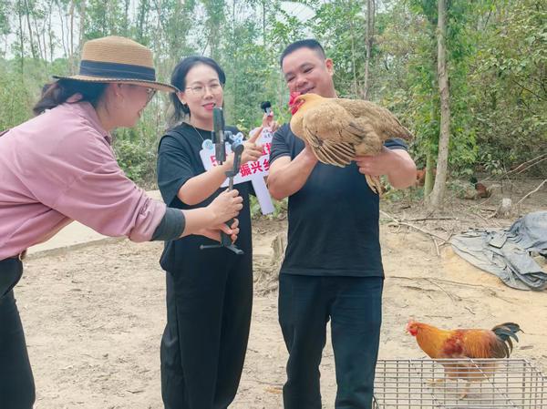山林鸡舍架起直播间帮农户售卖本地土鸡。潘光华 摄 山林鸡舍架起直播间帮农户售卖本地土鸡。潘光华 摄