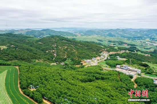 贵州威宁：小平菇撑起富民大产业
