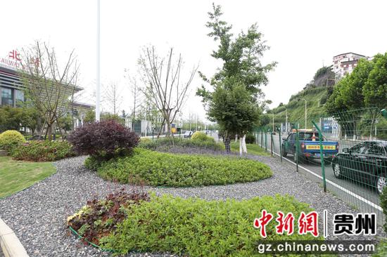 整治后的小微绿化地块 。陈扬摄