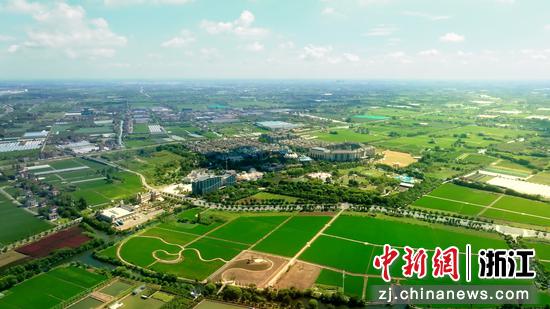 图为嘉兴市嘉善县大云旅游度假区。受访者&nbsp;供图
