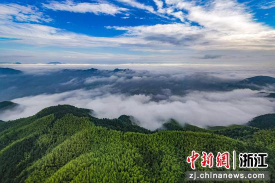 浙江安吉大竹海景区。（资料图，安吉县文化和广电旅游体育局供图）