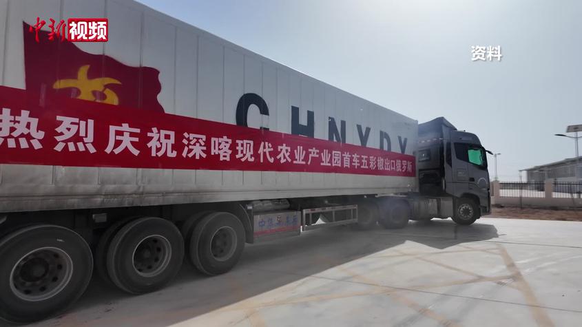 350吨果蔬走出喀什 援疆科创中心打通通往中亚西亚鲜果通道