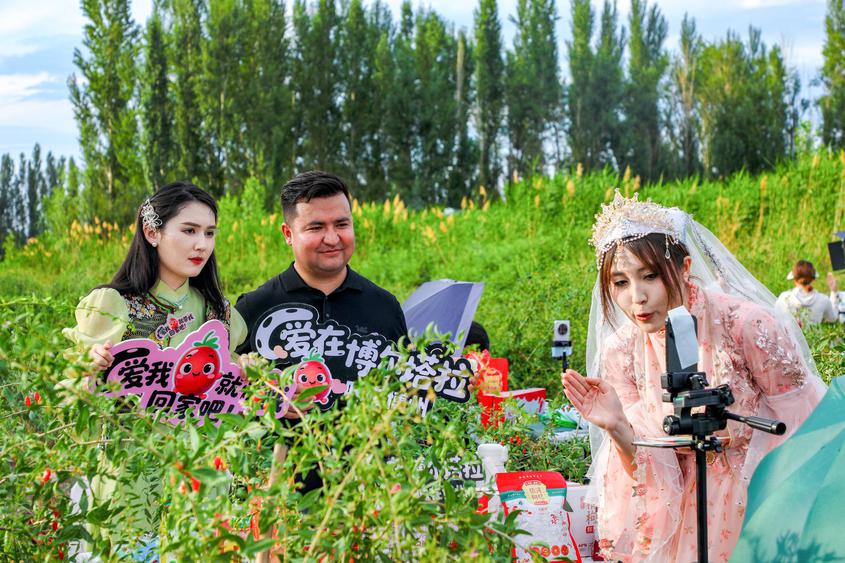 “爱在博尔塔拉·味在博州”精河枸杞专场公益助农直播火热开播