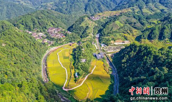 排羊乡富强村150亩稻田大坝。张奎摄