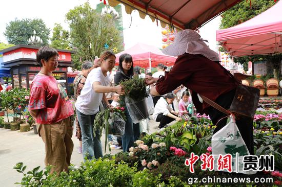 花市现场。  何力辉摄