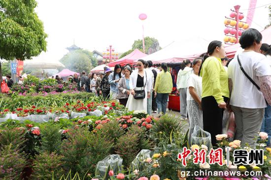 花市现场。  何力辉摄
