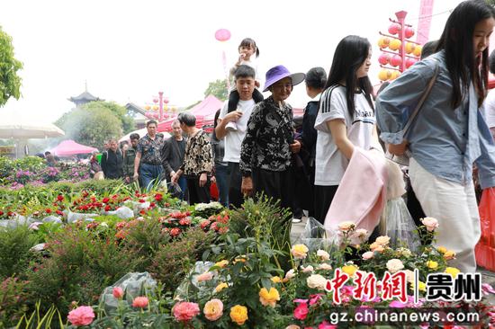 花市现场。  何力辉摄