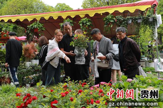 花市现场。  何力辉摄