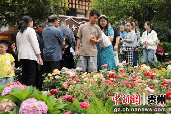花市现场。  何力辉摄