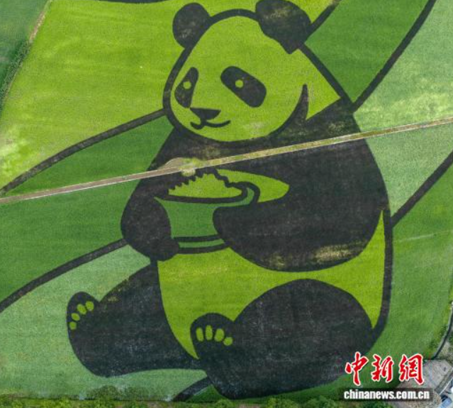 （寻味中华丨节令）食面尝新祈丰岁 日长之至盛夏始