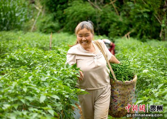 ��ǭ�����������֦�壬�����ڲ�����������ӱ ��