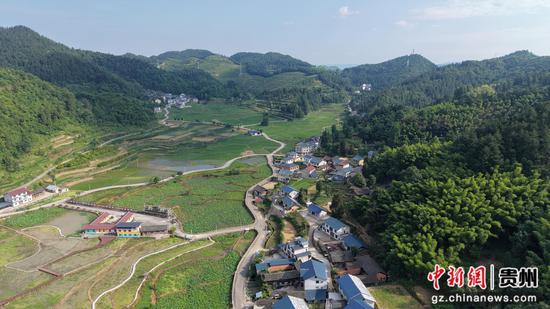 岑巩县客楼镇下寨村，荷花基地与公路、民居相映成景。何小雨 摄