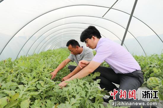 农行工作人员向农场主徐智超（左一）了解经营情况。毛赏妍&nbsp;摄
