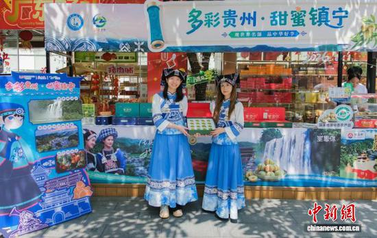 镇宁蜂糖李专场展销活动现场。镇宁布依族苗族自治县政府 供图