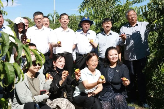 新疆昆仑蟠桃大会在叶城县召开