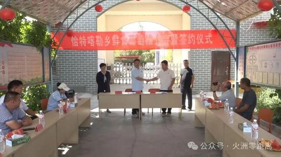 本次活动共达成鲜食葡萄签约订单5600吨。薛子扬 摄a