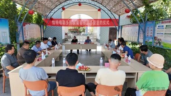 6月24日，高昌区恰特喀勒乡举办鲜食葡萄推介会暨签约仪式。薛子扬 摄