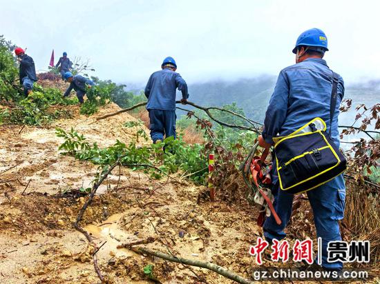 在剑河县观么镇巫包村，工作人员清理暴雨导致的树木倒伏。剑河县融媒体中心 供图