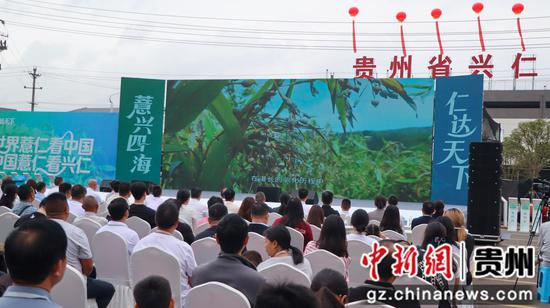 图为兴仁薏仁米国际交易中心开市仪式现场。