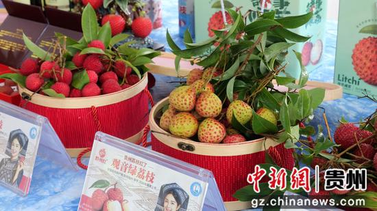 图为册亨县生长的荔枝。册亨县融媒体中心 供图