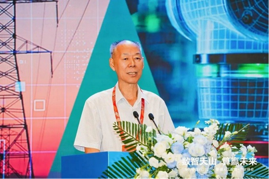 自治区数字经济联合会会长 苏国平