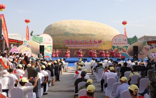 伽师瓜全面上市！开启全国供货模式→