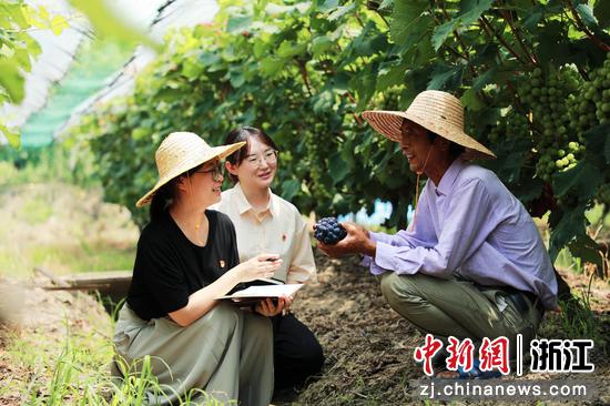 吴兴区纪委、区监委工作人员走访“太湖新溇港”片区村民，了解职能部门惠农政策落实情况。织里镇供图