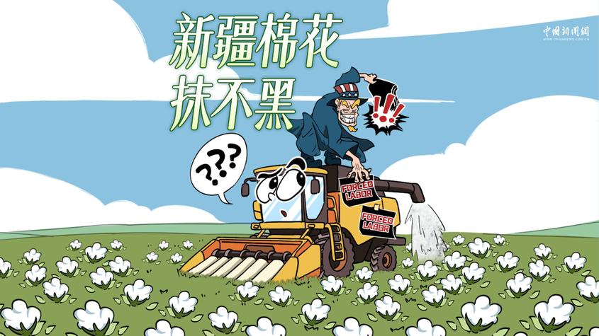 棉花自清白，谎言终自黑 | 新漫评