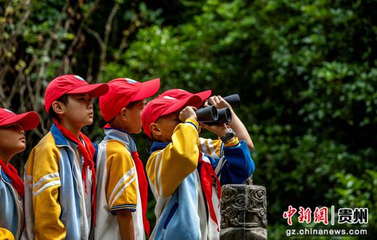 学生在贵州省黔西市凤凰山公园观察林间动物。