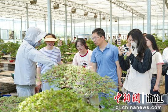 浙江安吉,参赛团队实地调研赛题。 安吉团县委供图 浙江安吉,参赛团队实地调研赛题。 安吉团县委供图