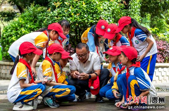 老师带领学生在贵州省黔西市凤凰山公园进行植物品种分析。