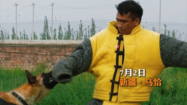 新疆乌恰：全警“最疼”警种，来看警犬助训员的日常