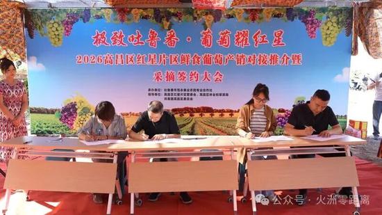 各村（社区）强村公司与各采购商依次签订鲜食葡萄购销合作协议。阿地力 摄