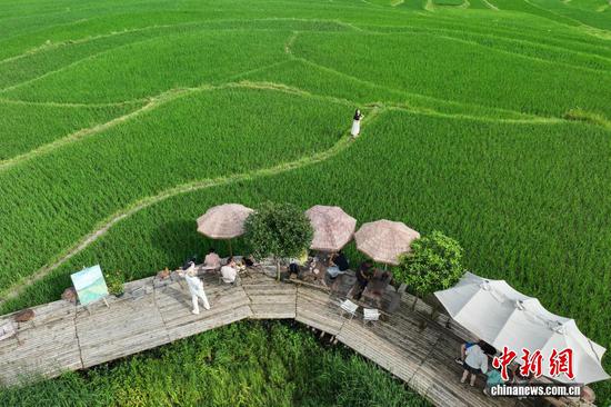 7月4日,仲夏雨后,位于贵州省黔南布依族苗族自治州贵定县沿山镇的腊利梯田依山舒展,宛若水墨画卷。(无人机照片) 7月4日,仲夏雨后,位于贵州省黔南布依族苗族自治州贵定县沿山镇的腊利梯田依山舒展,宛若水墨画卷。(无人机照片)