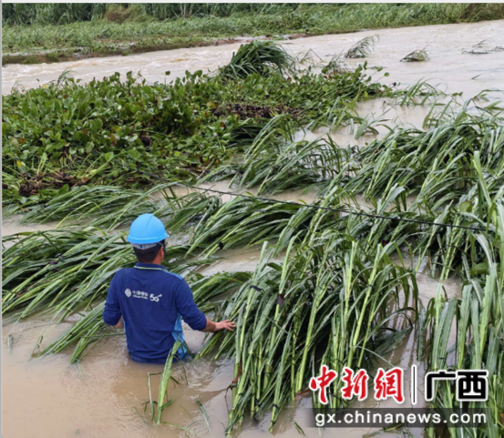 网络工程师洪水中抢修故障光纤。张靖 摄 网络工程师洪水中抢修故障光纤。张靖 摄