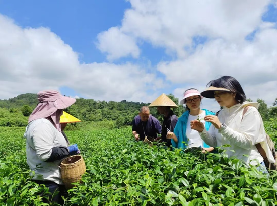 专家现场讲解蚜虫危害防治方法 刘琳 摄