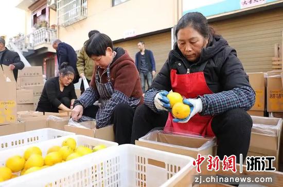 交工纮福与农户结对定点收购。&nbsp;浙江交工&nbsp;供图