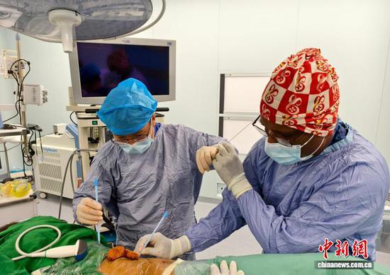 图为第5批援所罗门群岛中国医疗队张发明医生和所罗门群岛外科医生为患者开展经皮肾镜碎石取石术。(贵州省卫健委 供图)