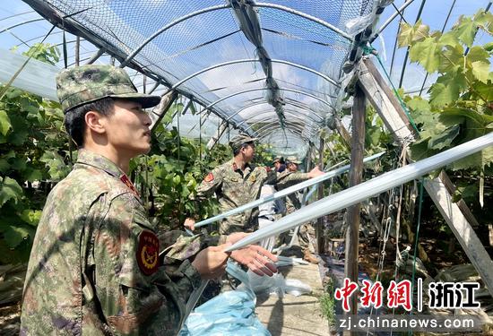 民兵帮助果农收取大棚薄膜。仇霖振&nbsp;供图