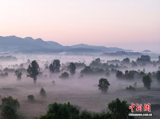 7月9日清晨，贵州省毕节市威宁彝族回族苗族自治县出现平流雾景观，雾气如薄纱般袅绕，宛如水墨画。(无人机照片)
